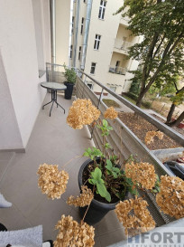 Mieszkanie Wynajem Szczecin Śródmieście-Centrum Księcia Bogusława X