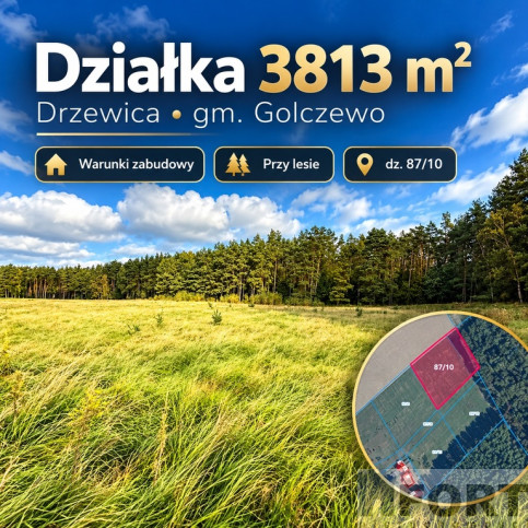 Działka Sprzedaż Drzewica 1