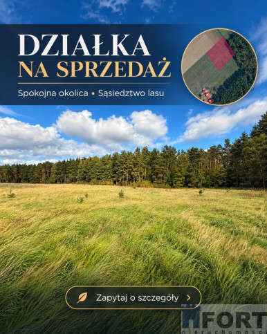 Działka Sprzedaż Drzewica 3