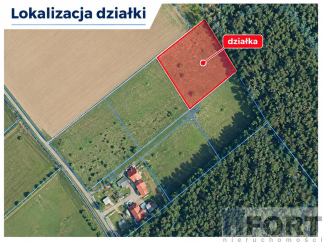Działka Sprzedaż Drzewica 4