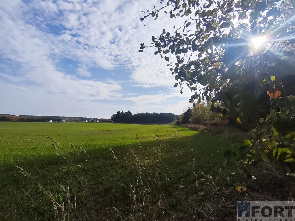 Działka Sprzedaż Grabowo