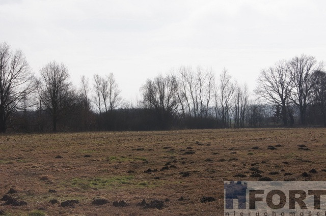 Działka Sprzedaż Jarzębowo 2