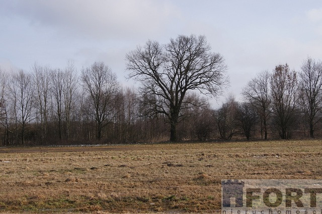 Działka Sprzedaż Jarzębowo 1