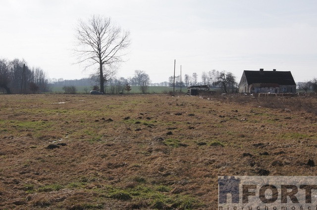 Działka Sprzedaż Jarzębowo 1