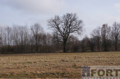 Działka Sprzedaż Jarzębowo