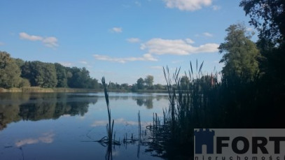 Działka Sprzedaż Radzanek