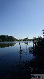 Działka Sprzedaż Radzanek