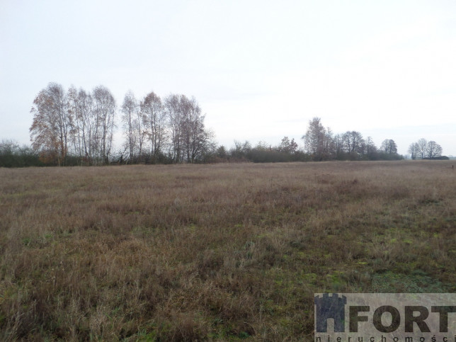 Działka Sprzedaż Uniemyśl 5
