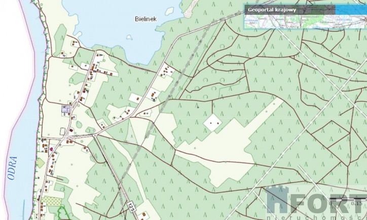 Działka Sprzedaż Bielinek 2