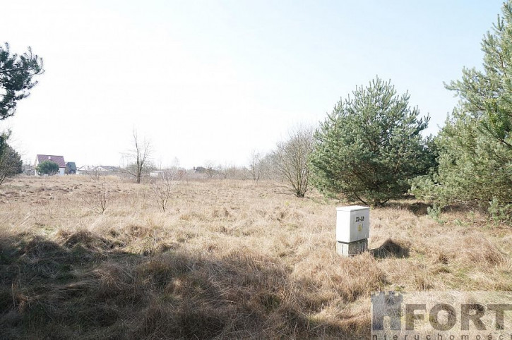 Działka Sprzedaż Rurzyca 1