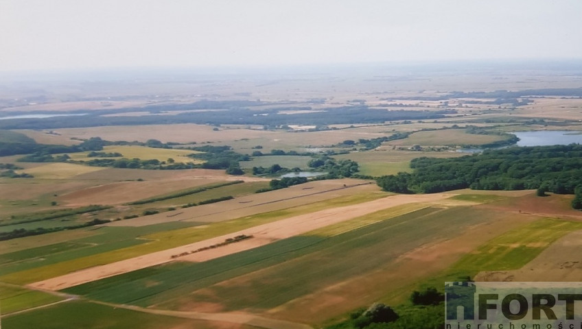 Działka Sprzedaż Kołowo