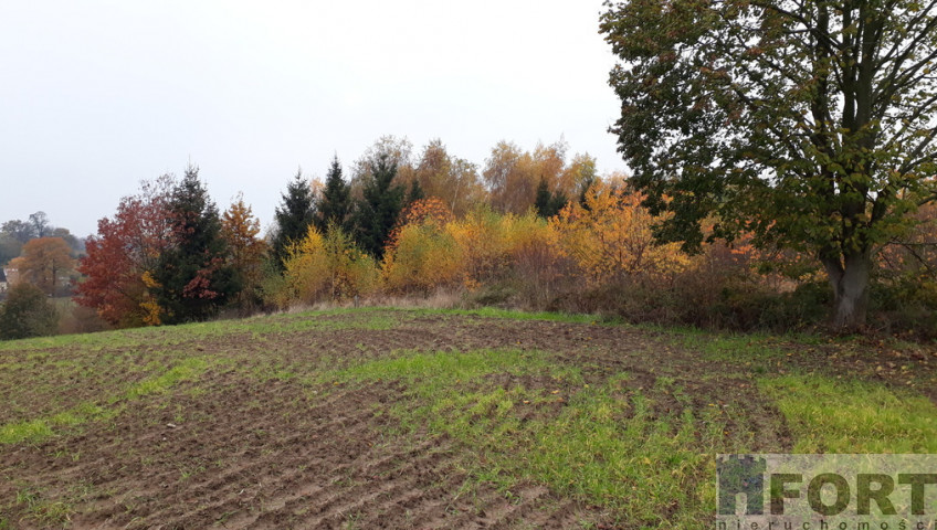 Działka Sprzedaż Danowo