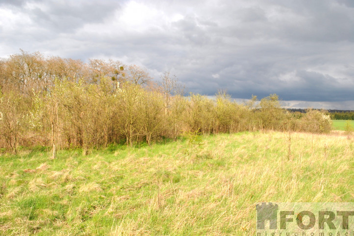 Działka Sprzedaż Binowo 1