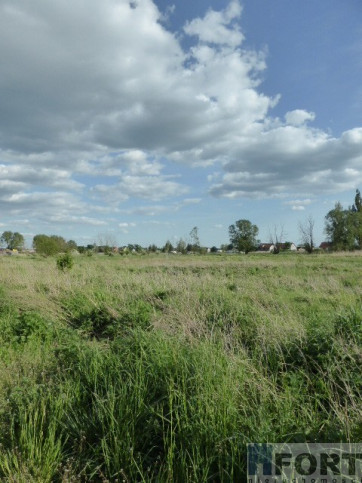 Działka Sprzedaż Czarna Łąka 2