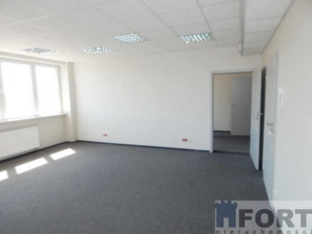 Lokal Wynajem Szczecin Śródmieście 6