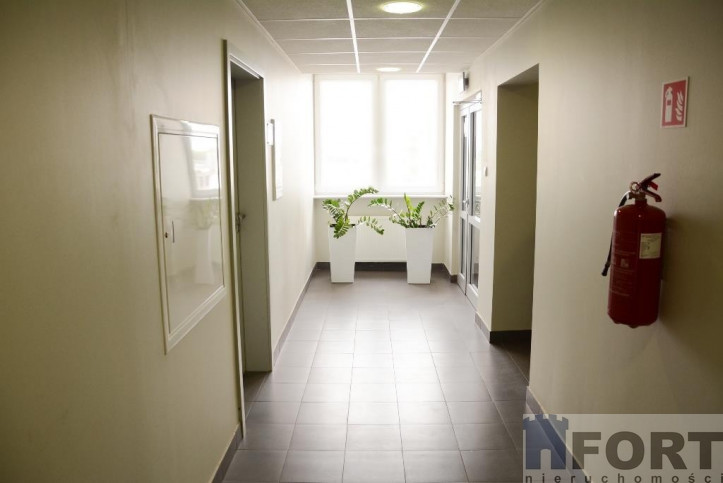 Lokal Wynajem Szczecin Śródmieście 12