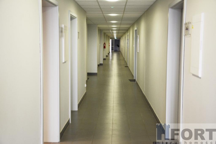 Lokal Wynajem Szczecin Śródmieście 13