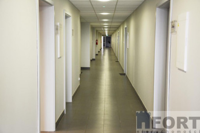 Lokal Wynajem Szczecin Śródmieście