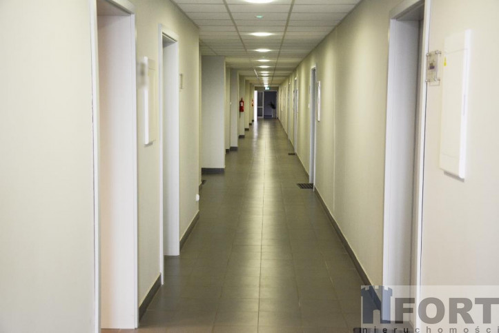 Lokal Wynajem Szczecin Śródmieście 10