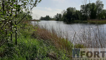 Działka Sprzedaż Mrzeżyno