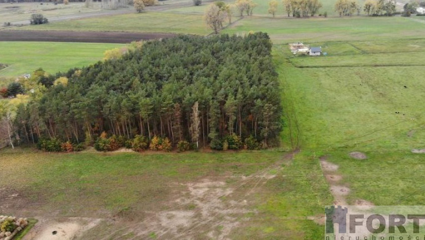 Działka Sprzedaż Borzysławiec