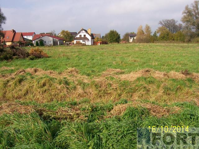 Działka Sprzedaż Choszczno 4