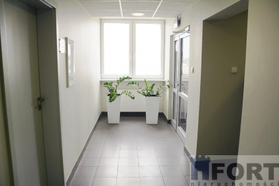 Lokal Wynajem Szczecin Śródmieście
