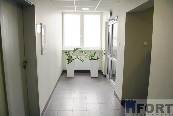 Lokal Wynajem Szczecin Śródmieście 6