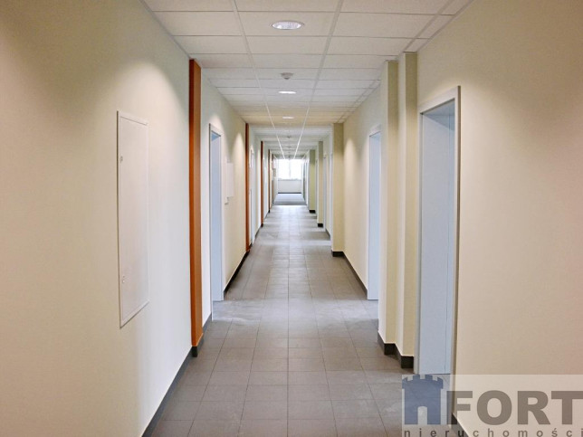 Lokal Wynajem Szczecin Śródmieście 12