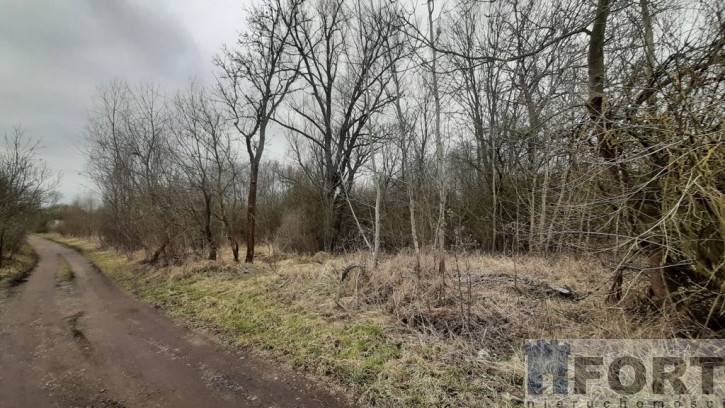 Działka Sprzedaż Karwowo 5