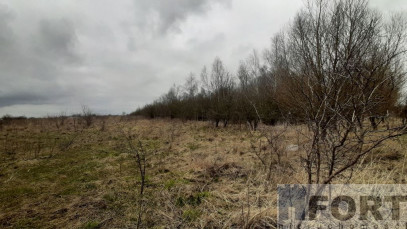 Działka Sprzedaż Karwowo