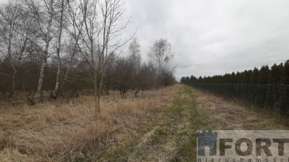 Działka Sprzedaż Karwowo