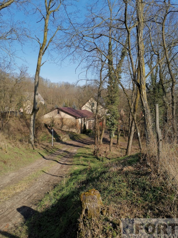 Obiekt Sprzedaż Stary Kostrzynek 14