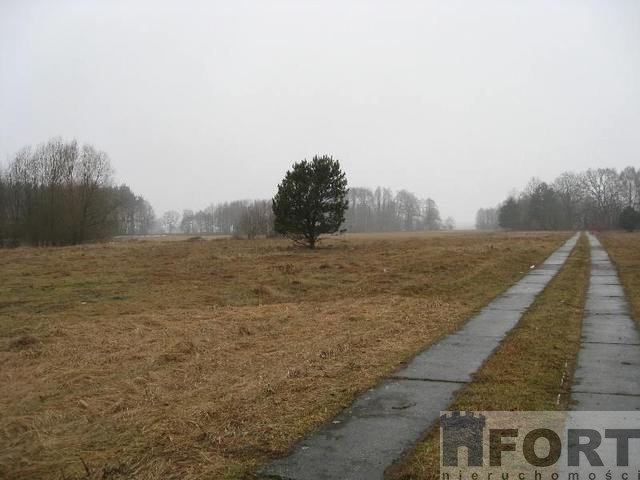Działka Sprzedaż Stepnica 9