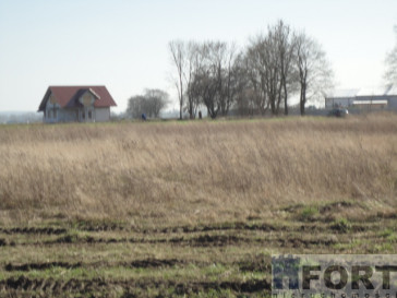 Działka Sprzedaż Turze