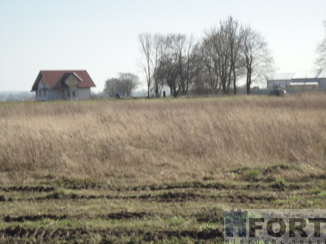Działka Sprzedaż Turze 4