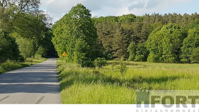 Działka Sprzedaż Swobnica