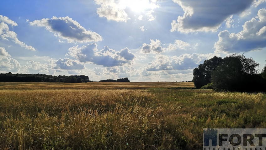 Działka Sprzedaż Wąwelnica