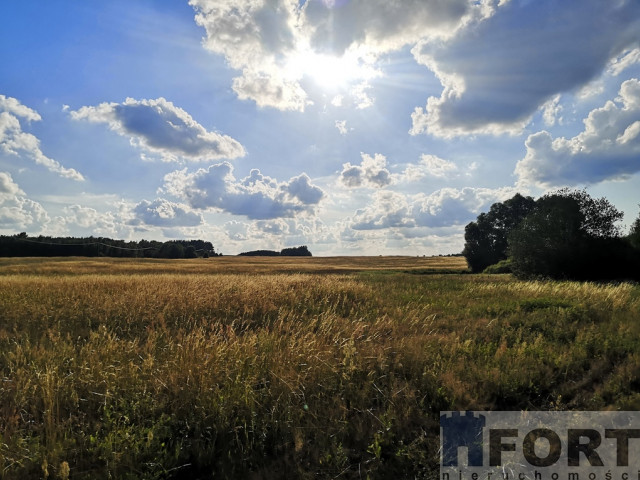 Działka inwestycyjna Wąwelnica 3,73 ha !!!