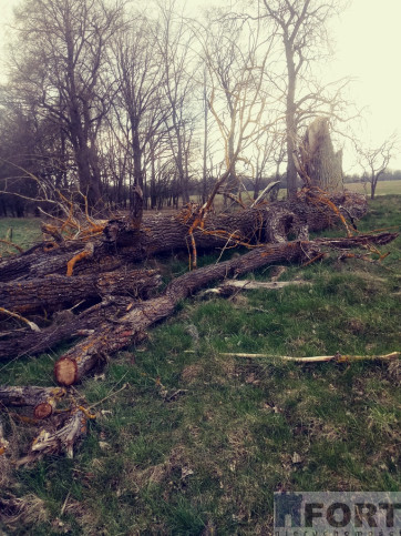 Działka Sprzedaż Łęgi 5