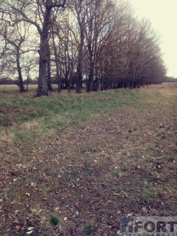 Działka Sprzedaż Łęgi 3