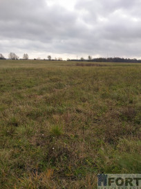 Działka Sprzedaż Szczecin Skolwin