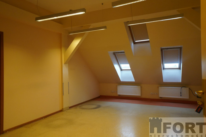 Lokal Wynajem Szczecin Śródmieście 5