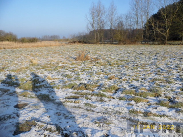 Działka Sprzedaż - Brzózki