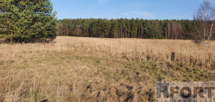 Działka Sprzedaż Białuń 1