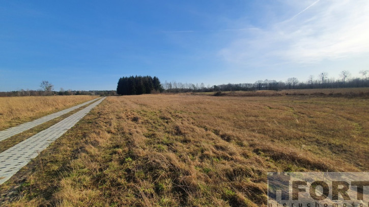 Działka Sprzedaż Białuń 7