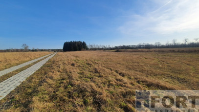 Działka Sprzedaż Białuń