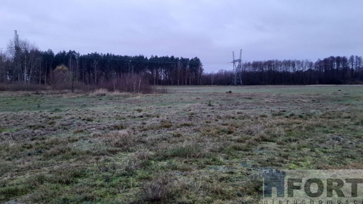 Działka Sprzedaż Stepnica 6