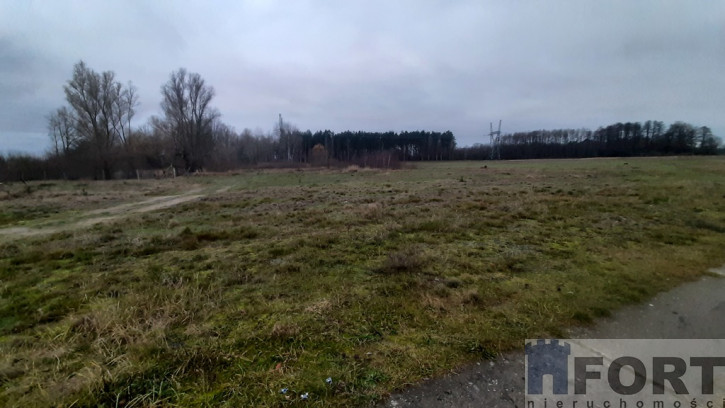 Działka Sprzedaż Stepnica 7