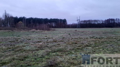 Działka Sprzedaż Stepnica